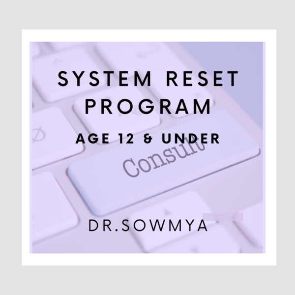 System Reset Program